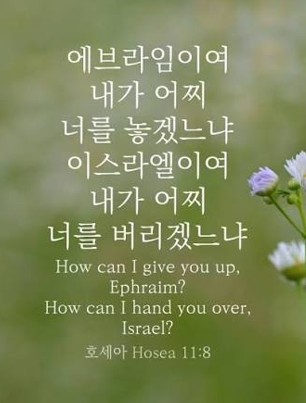 “예수님의 사랑 (3) 끝까지 포기하지 않는 사랑” | 2026 년 7 월 26 일 주일설교 | 김대위 목사